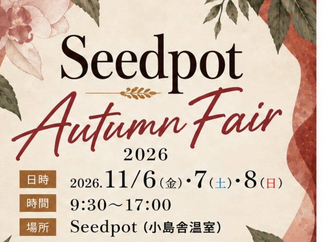 🌿 Seedpot Autumn Fair 2026 🌿