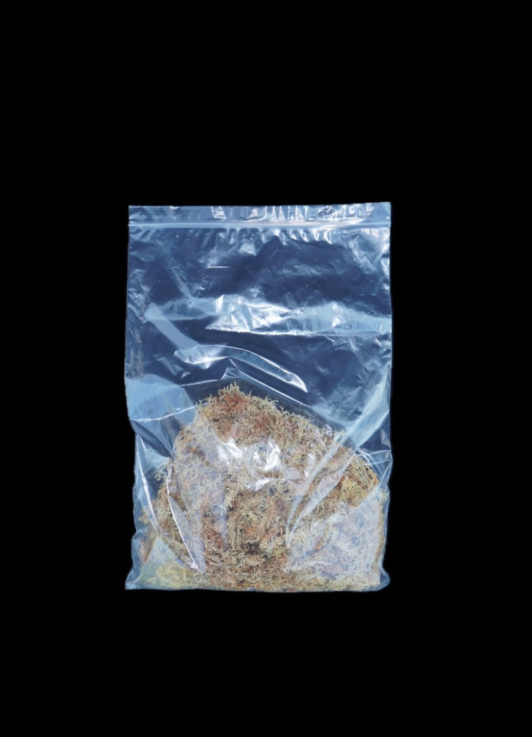 すぐ使える水苔（上級品）｜ランに最適な保水・通気・清潔性◎