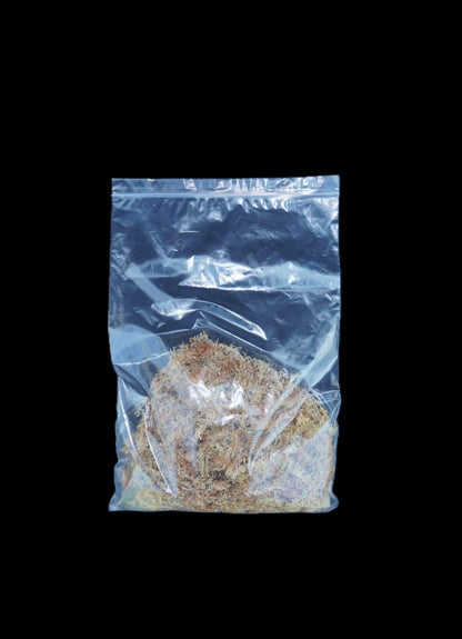 すぐ使える水苔（上級品）｜ランに最適な保水・通気・清潔性◎