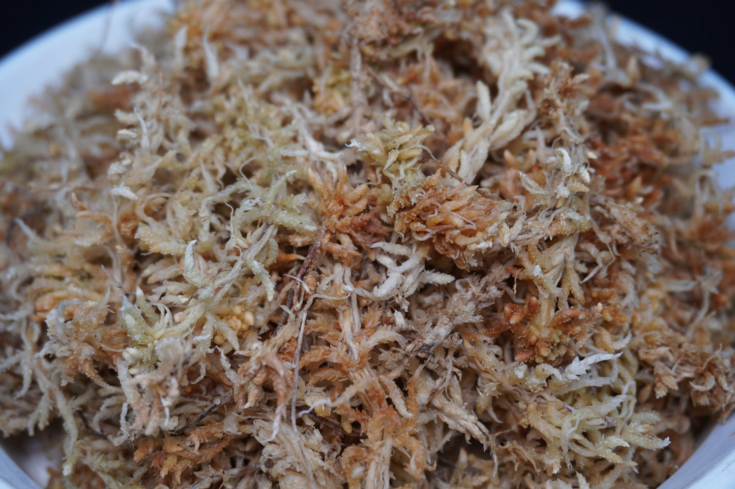 すぐ使える水苔（上級品）｜ランに最適な保水・通気・清潔性◎